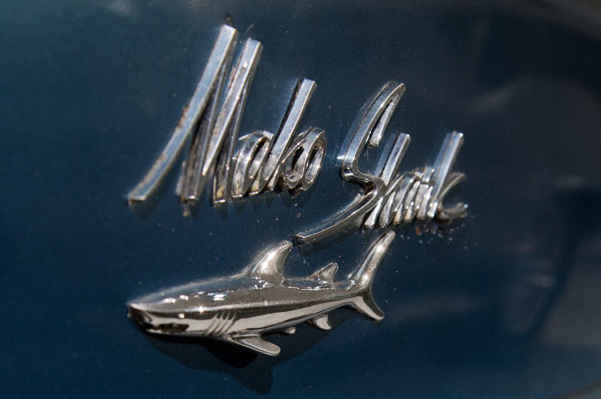 shark cars
