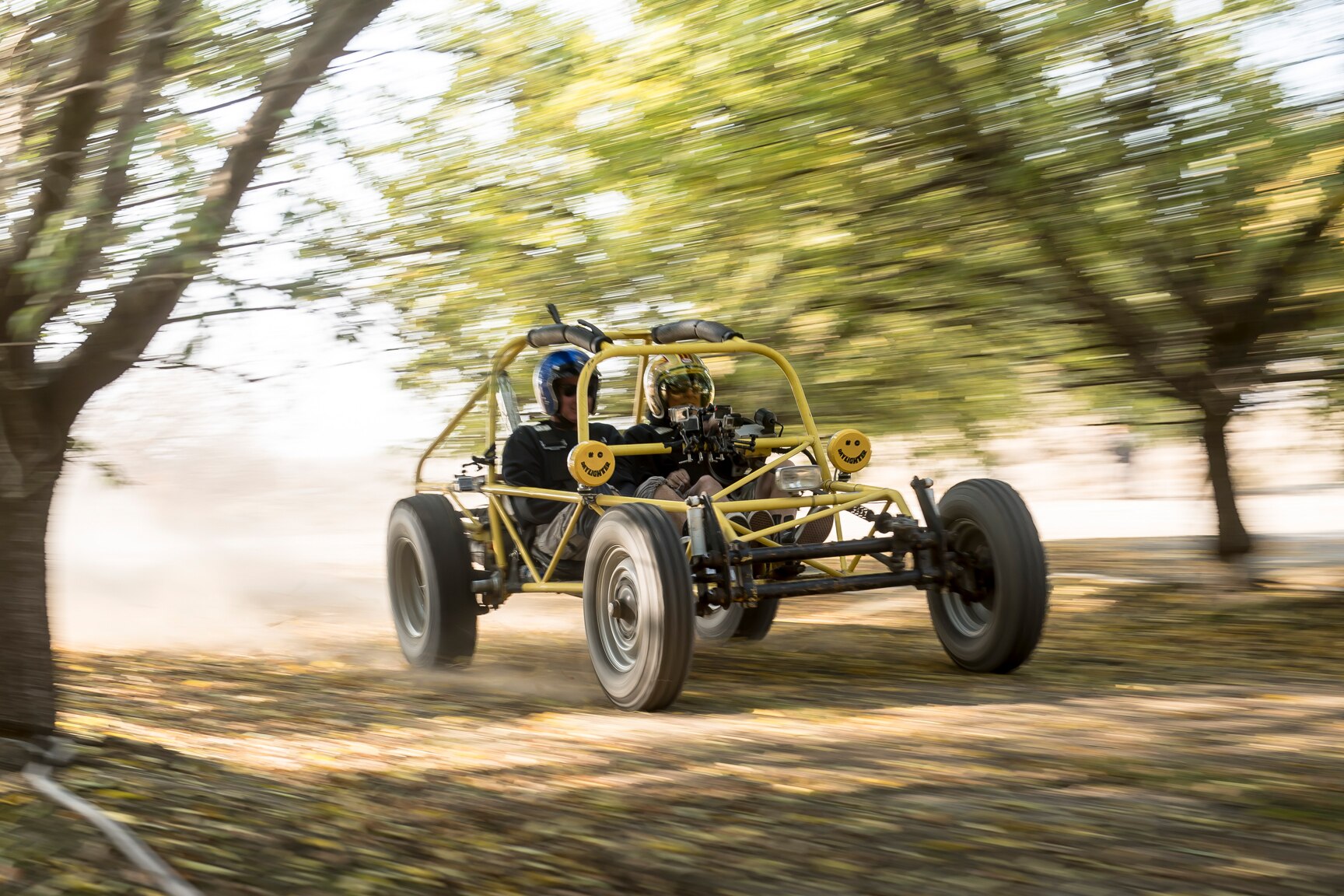 roadkill dune buggy