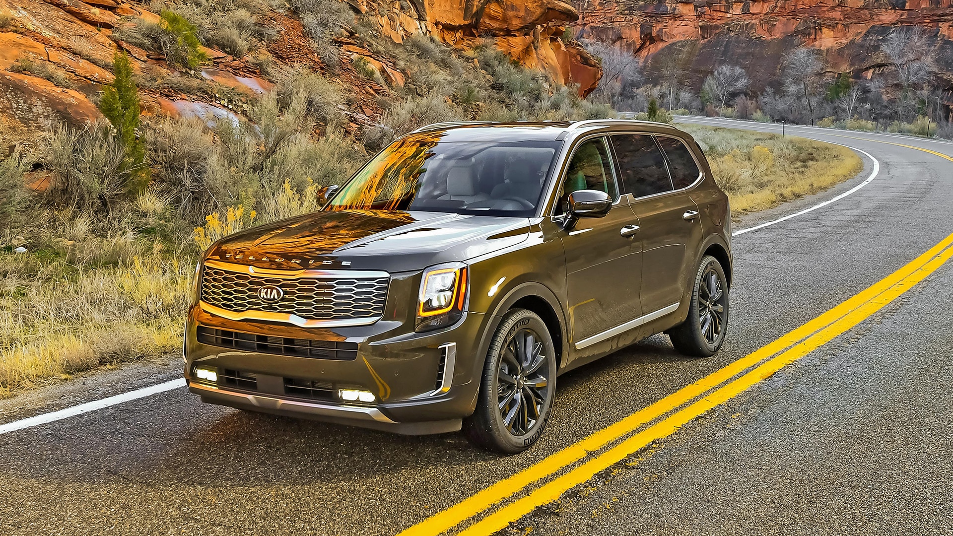 Complaints About Kia Telluride