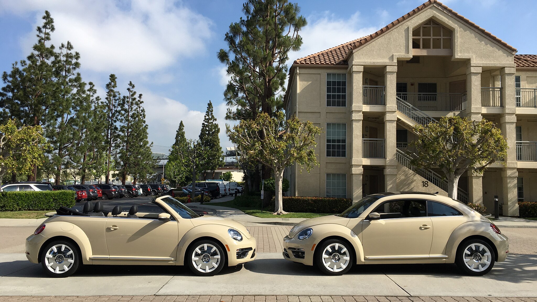 volkswagon buggy