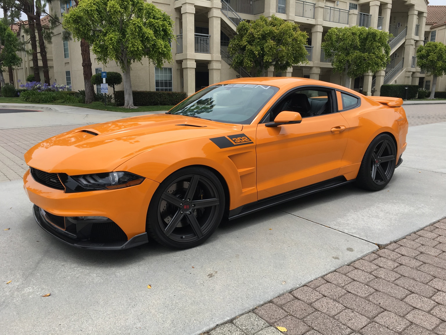 2019 Saleen S302 Black Label Review Eight Hundred